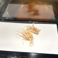 天ぷら 福たろう - 