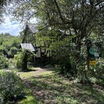 ミントガーデン - 