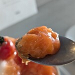 MISO - 煮詰められたトマトソース