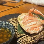 コンペイトウ - 