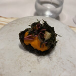 レミニセンス - 