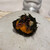 レミニセンス - 料理写真:
