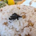 シードカフェ - 