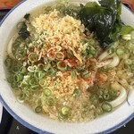 手打麺や 大島 - かけ1.5玉このビジュアル最高