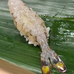 すし処 新田中 - 