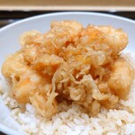 てんぷら 近藤 - 才巻海老と小柱のかき揚げ