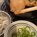 サゴリヤンコプチャン - 