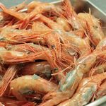 西麻布 真不同 - 