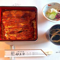 鰻割烹 伊豆栄 本店 -  鰻割烹 伊豆栄 本店 -