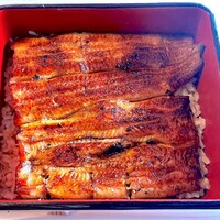 鰻割烹 伊豆栄 本店 -  鰻割烹 伊豆栄 本店 -