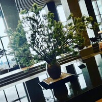アルヴァ(アマン東京) - 