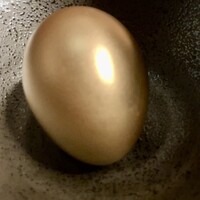 河内鴨料理 鴨匠 - 