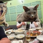 (楽)中華酒場 サンクスチャイナタウン - 