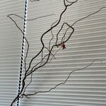 プレゼンテ スギ - 