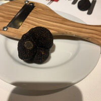 マルゴット エ バッチャーレ - 