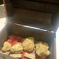 マルゴット エ バッチャーレ - 