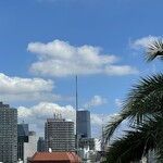 南国酒家 - 東急プラザ原宿「ハラカド」から東京タワーが見えた。