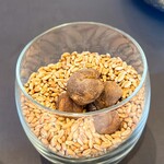 プレゼンテ スギ - 