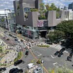 南国酒家 - 東急プラザ原宿「ハラカド」から交差点を望む