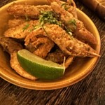 タコファナティコ - 