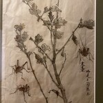 豆腐料理 松ヶ枝 - 