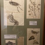 豆腐料理 松ヶ枝 - 