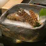 日本焼肉はせ川 別亭 - 車海老