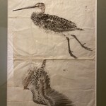 豆腐料理 松ヶ枝 - 