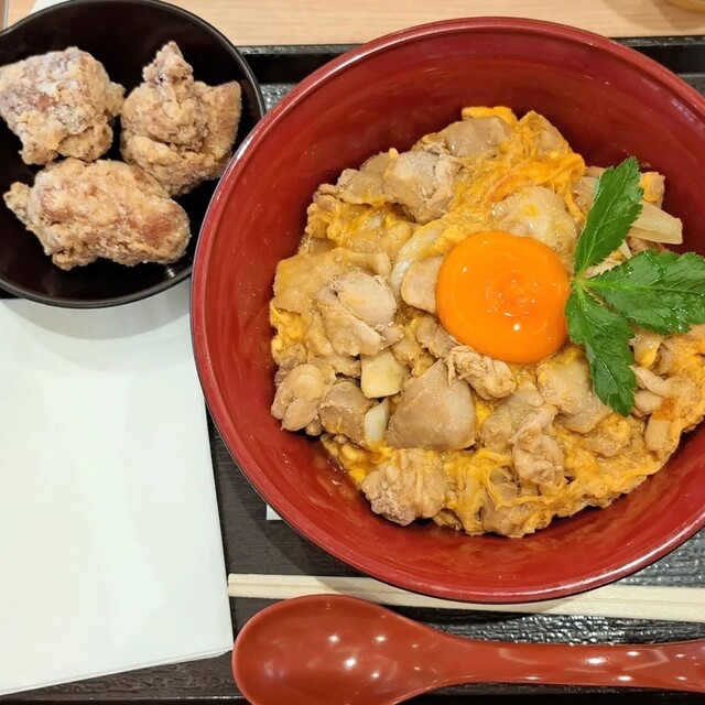 Tori Saku Kyuzumoru Morinomiya Ten - Morinomiya/Oyako-don (Chicken