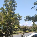 テーブル脇から見る緑の光景