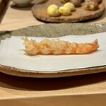 ぬま田 - 天草産車海老