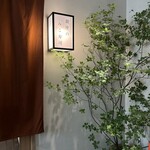 銀座のみこ寿司 - 