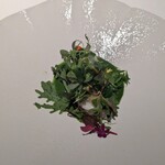 ブルガリ イル・リストランテ ルカ・ファンティン - 