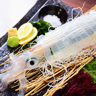 【「鐘崎」の漁港から毎朝直送】絶品「ヤリイカ」の活き造り