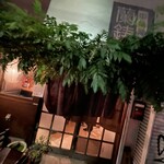 中華蕎麦 蘭鋳 - 店舗外観