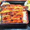 魚かず
