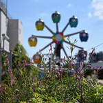 NIBOSHI MANIA - 9月のかまたえん