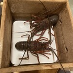 伊勢海老　海鮮蒸し料理　華月 - 