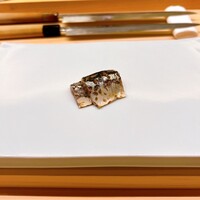 鮨おおが東山 - 