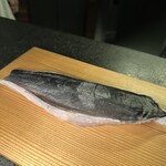 Alternative - ナマズ