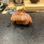 ときずし 山田 - 赤エビ