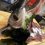 寿司居酒屋 伝次郎 - 