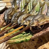 北海道炉端焼き 篝 - 