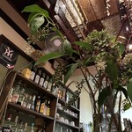 めがねNONNO - 2階席まで吹き抜けになっている店内