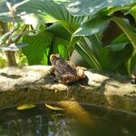 手打ちそば 土肥 - 