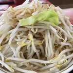 ラーメン もっけだの - 『ラーメンニンニク野菜マシマシ』の野菜