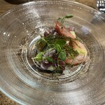 Motivo ワインと料理 - 