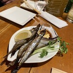 居酒屋 キッチン きぬ - 