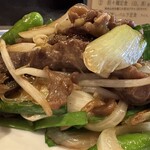 鉄板中華・担々麺 究 Kiwa - 