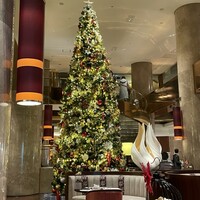 ロビーラウンジ 「マーブルラウンジ」 ヒルトン東京 - 